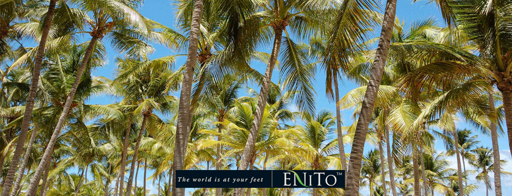 Primewalk Enito Green Label kokospalme trægulve
